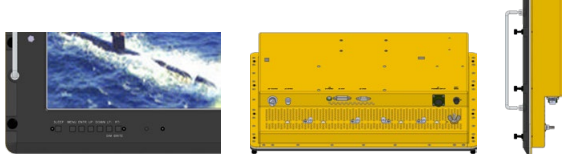 REP-19LCD-RM115 Display